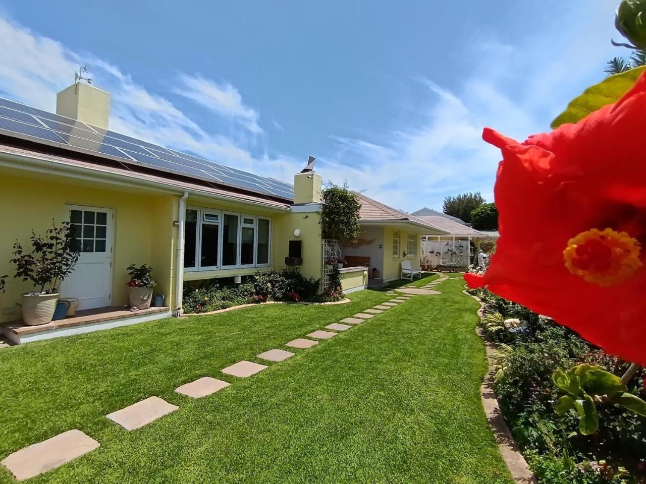On The Bay Bed & Breakfast Port Elizabeth Exterior photo